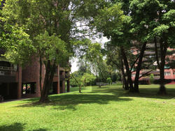 Nassim Mansion (D10), Apartment #132917942